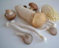 Как приготовить черные древесные грибы по китайски