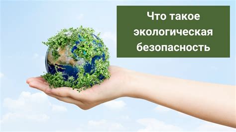 Экологичные решения для производства и поставок: снижение вреда природе