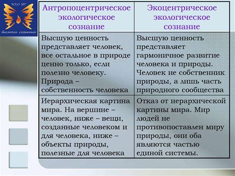 Как воспитать экологическое сознание с детства: секреты и подходы