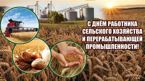 Новые горизонты развития сельского хозяйства и экологии Омской области: совместные шаги Дмитрия Патрушева и Виталия Хоценко