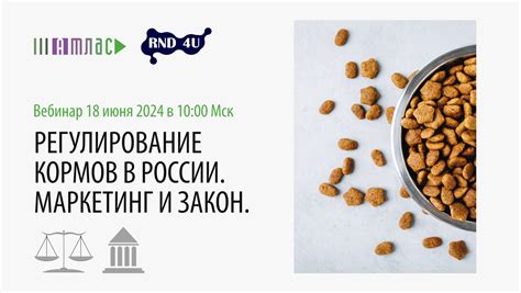 Регулирование производства и поставок в России — нормативы и требования