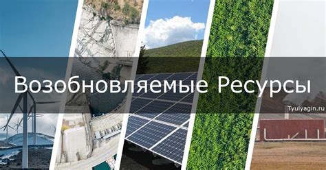 Возобновляемые ресурсы в производстве: опыт и перспективы